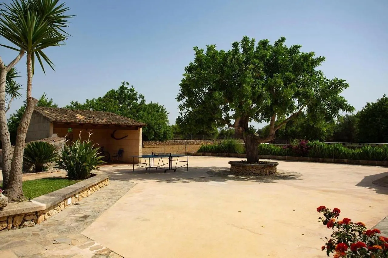 Finca Sestret Santa Margalida 0*,